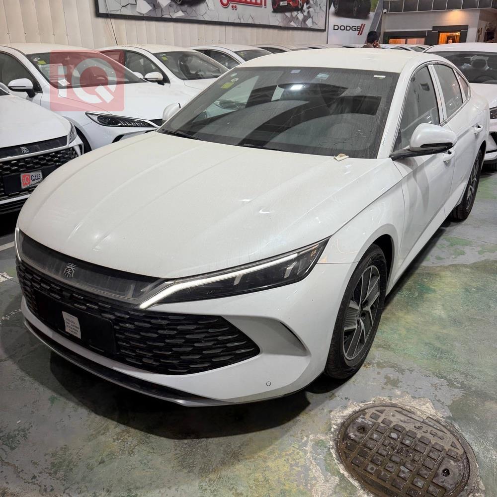 بي واي دي كوين L DM-i